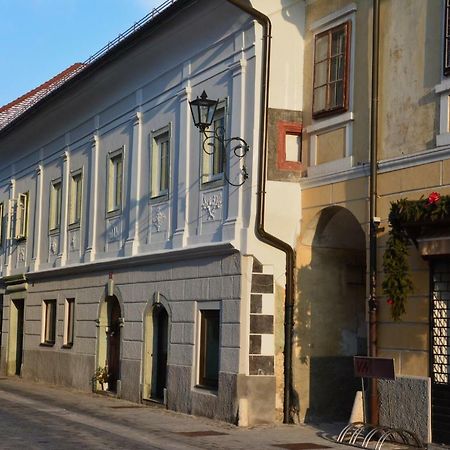 Apartma Linhartov Trg Радовлица Екстериор снимка