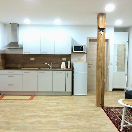 Apartma Linhartov Trg Радовлица Екстериор снимка