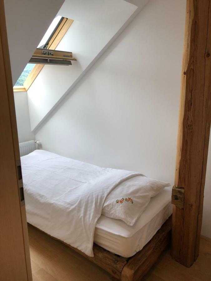 Apartma Linhartov Trg Радовлица Екстериор снимка