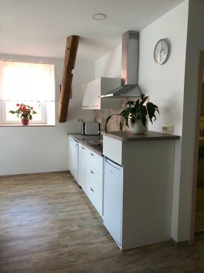 Apartma Linhartov Trg Радовлица Екстериор снимка