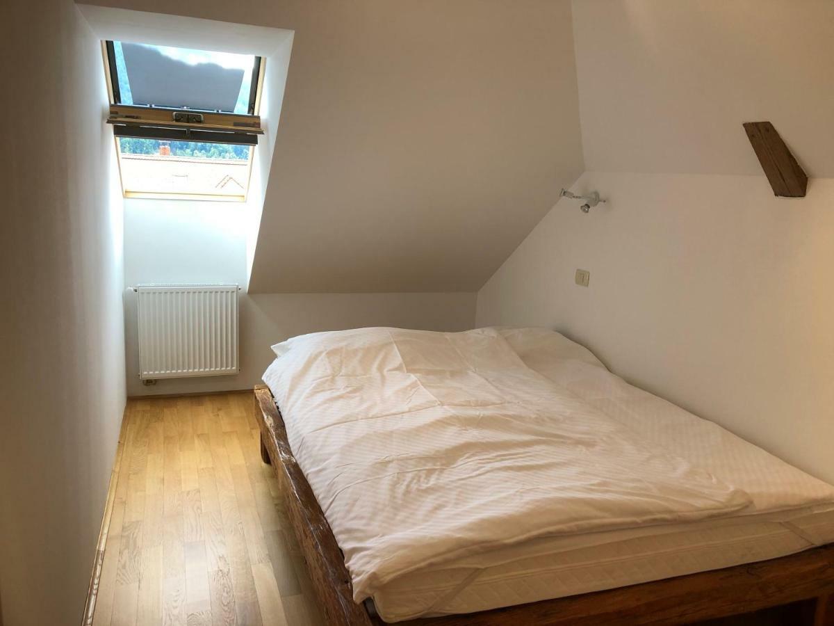 Apartma Linhartov Trg Радовлица Екстериор снимка