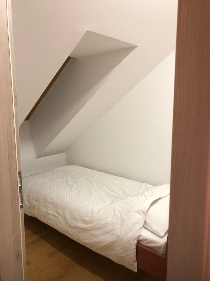 Apartma Linhartov Trg Радовлица Екстериор снимка